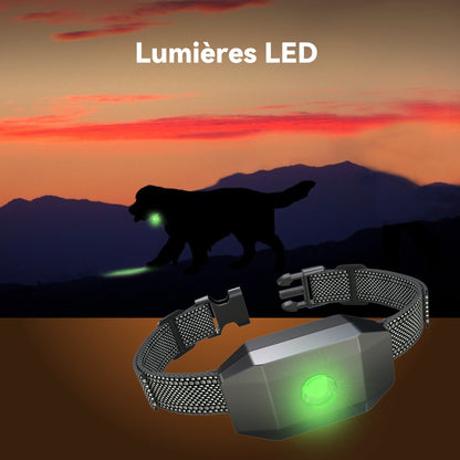 Collier Vibrant-Conformes à La Nouvelle Loi 2024-Collier de Dressage,Portée de 2000 Mètres,Rechargeable avec 4 Modes Lumières LED/Son/Vibration/Forte Vibration