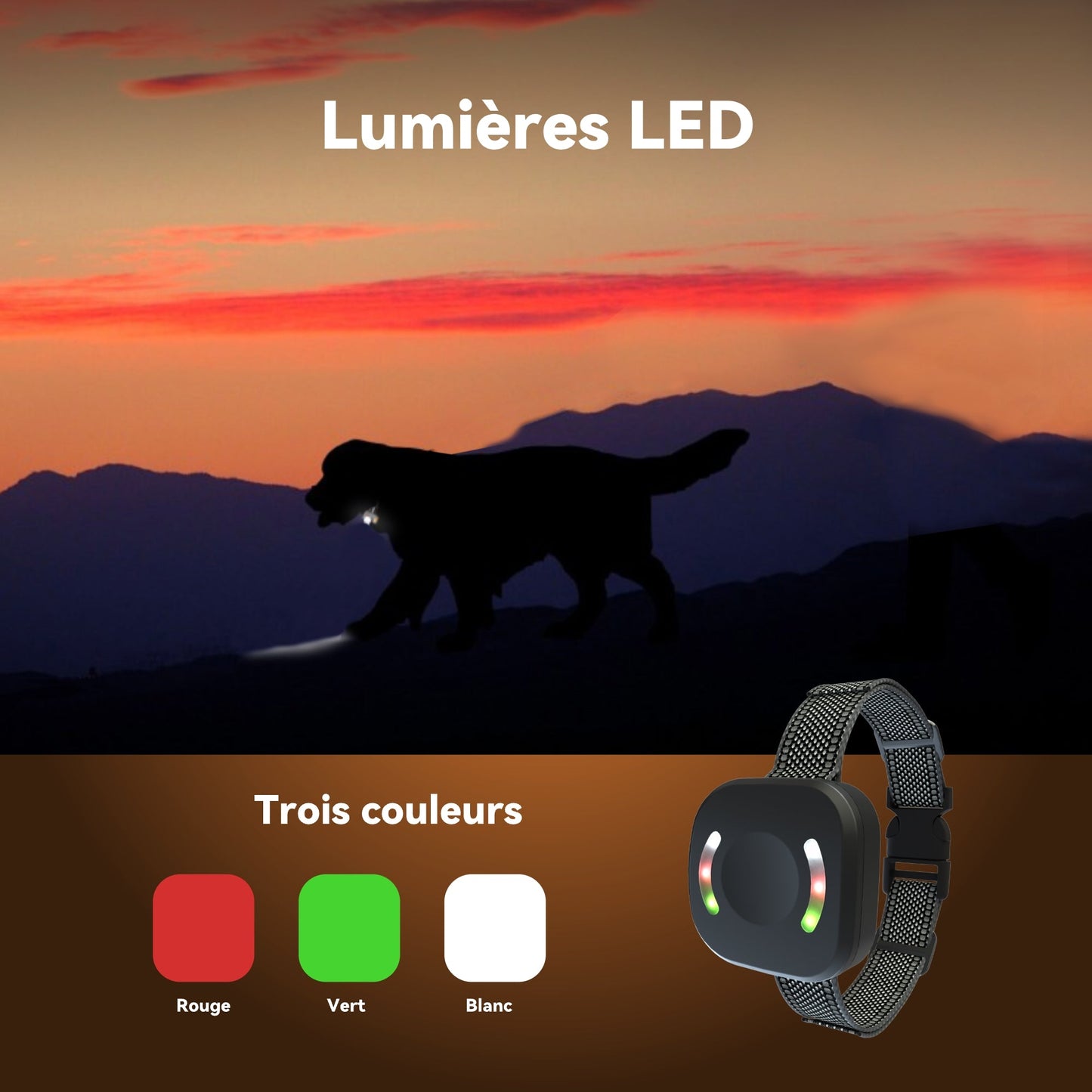 Beoankit Collier Vibrant-Conformes à La Nouvelle Loi 2024-Collier de Dressage,Portée de 2000 Mètres,Rechargeable avec 4 Modes Lumières LED/Son/Vibration/Forte Vibration